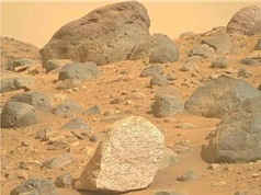 Dữ liệu từ tàu thám hiểm của NASA gợi ý về sự sống vi sinh vật từng có trên sao Hỏa